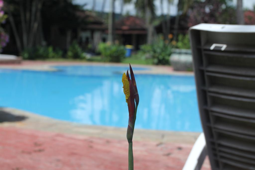 Kuta Indah Hotel Exteriér fotografie